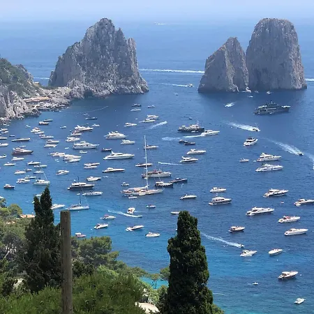 Affittacamere Olga Luxury